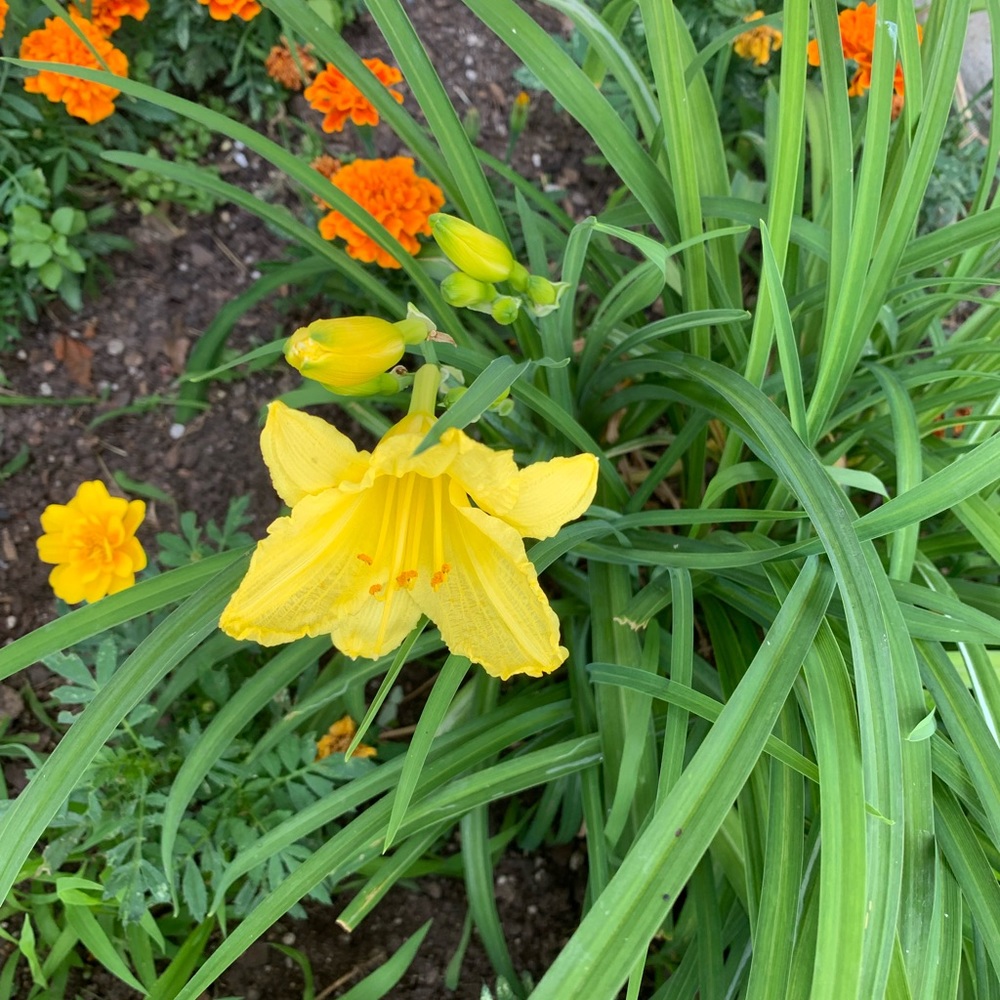 Meet your Posher, Sabine